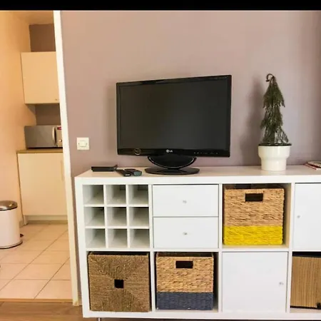 Charming Studio With Parking & Terrace Vieux アパート リール